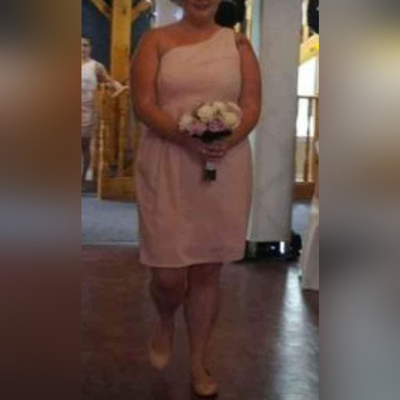 Blush Size 18 Vera Wang White Collection Dress - Picture 4 of 6